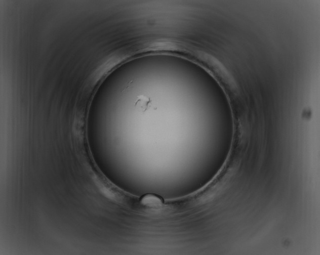 X0000102001225200807181157