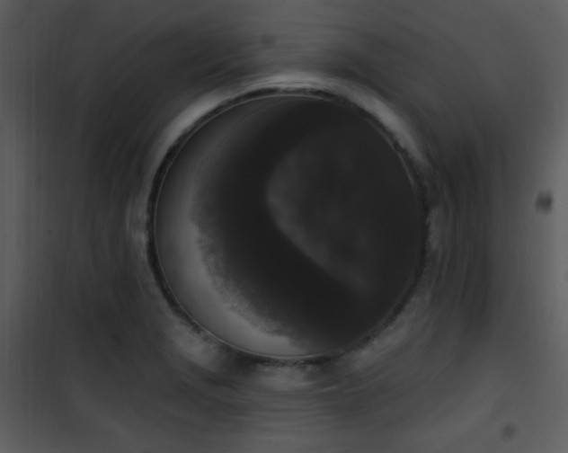 X0000102001229200807181157