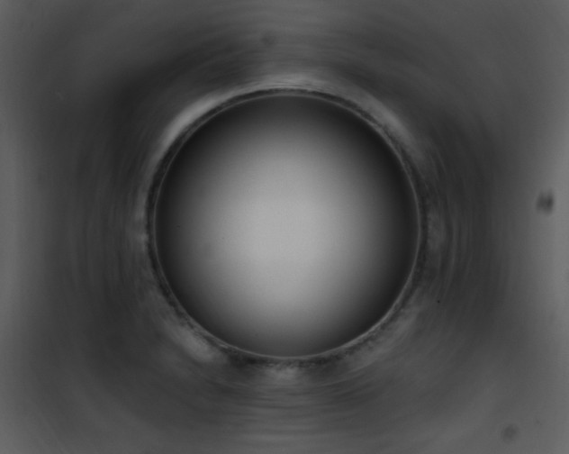 X0000102001230200807181157