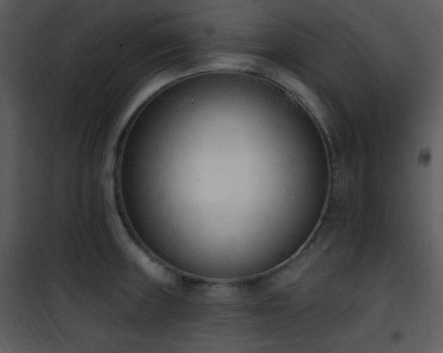 X0000102001235200807181157