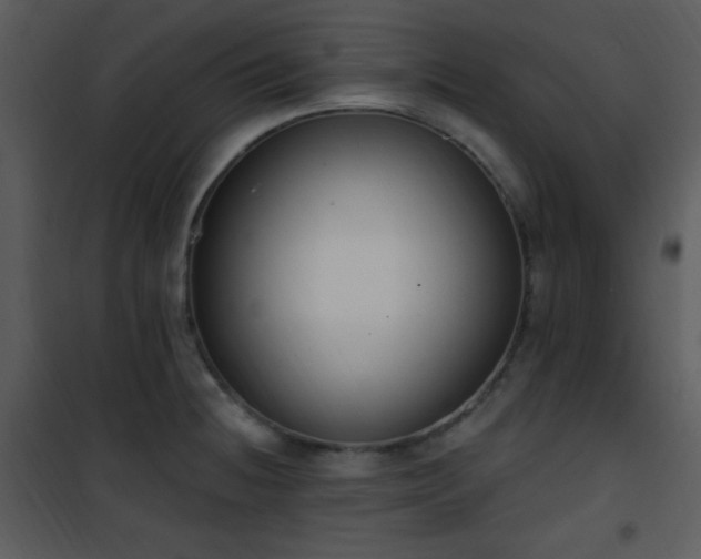 X0000102001236200807181157