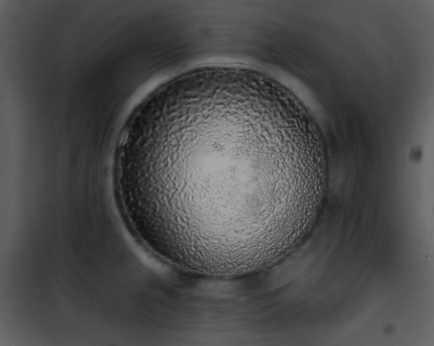 X0000102001237200807181157