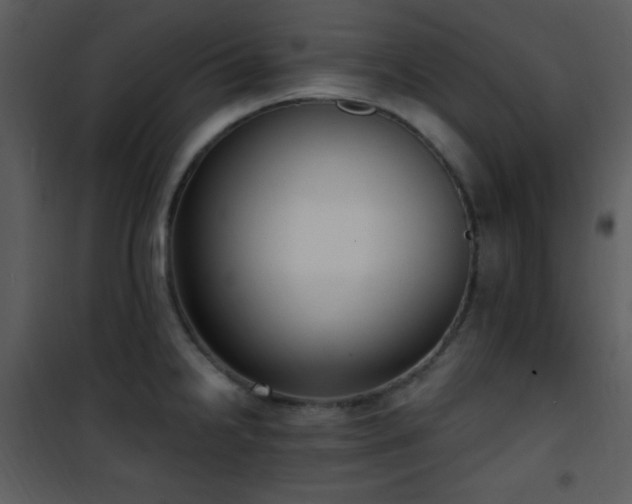 X0000102001238200807181157