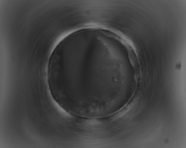 X0000102001239200807181157