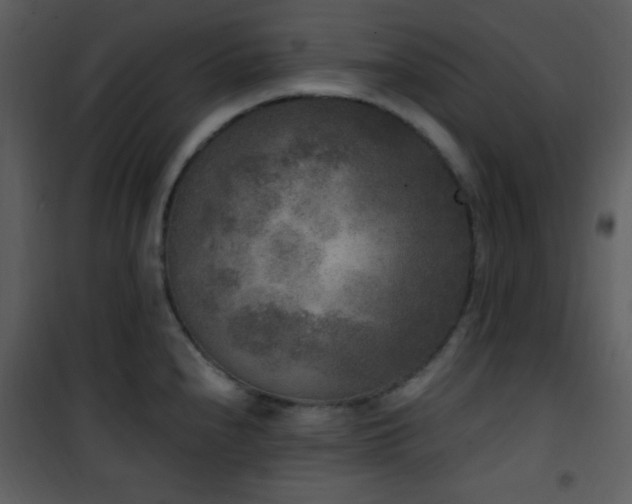 X0000102001240200807181157