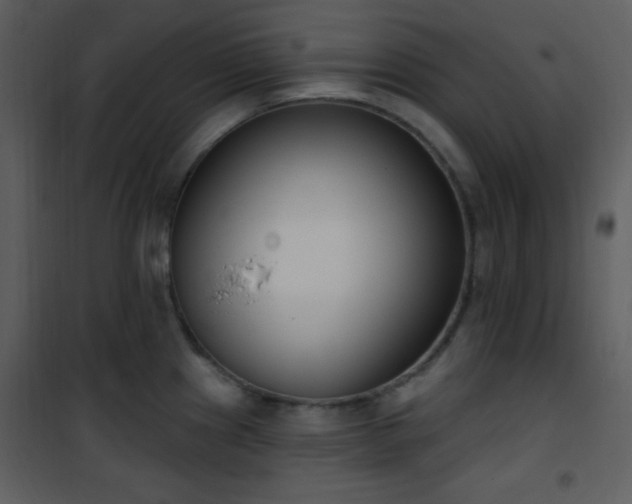 X0000102001241200807181157