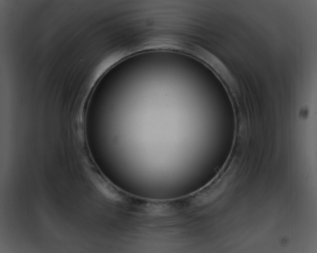 X0000102001242200807181157