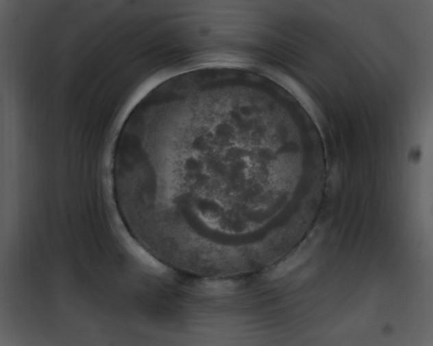 X0000102001243200807181157