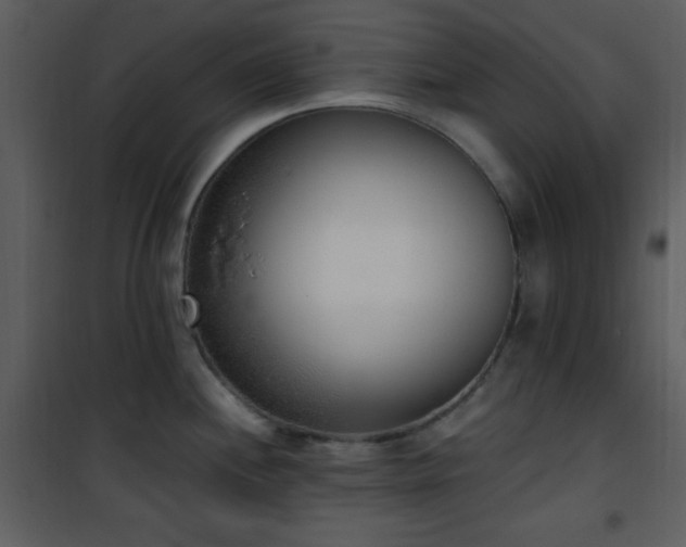 X0000102001244200807181157