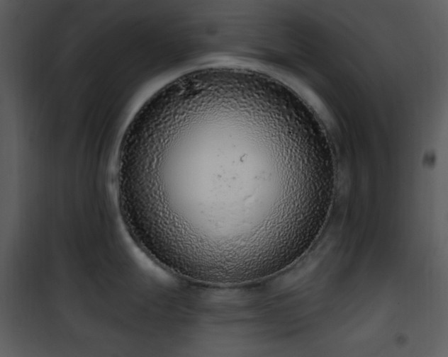 X0000102001247200807181157