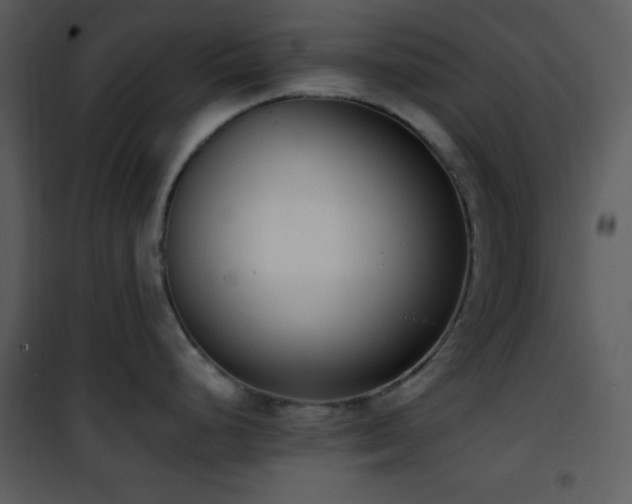 X0000102001248200807181157