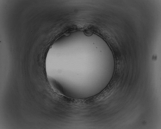 X0000102001249200807181156