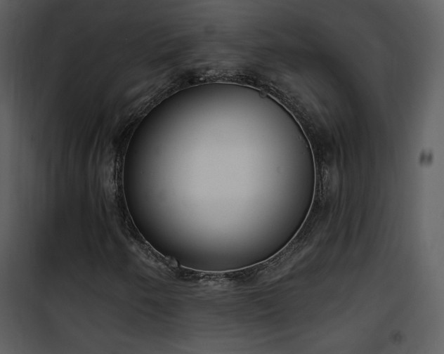 X0000102001250200807181156