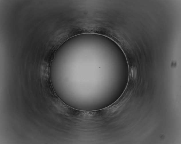 X0000102001251200807181156