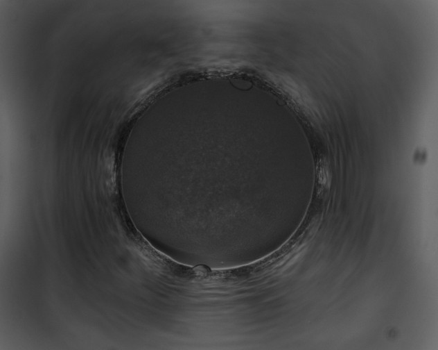 X0000102001252200807181156