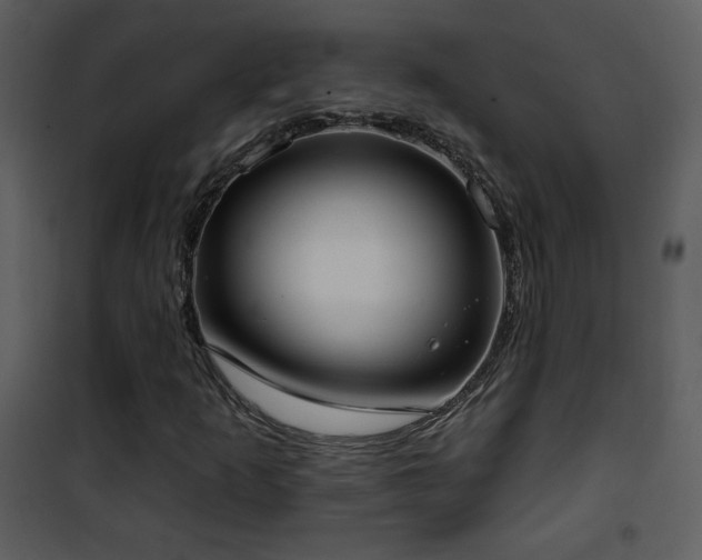 X0000102001253200807181156