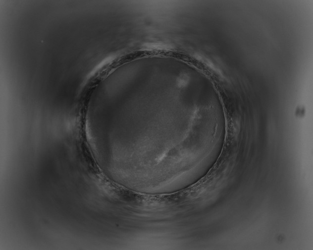 X0000102001254200807181156