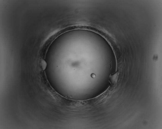 X0000102001255200807181156