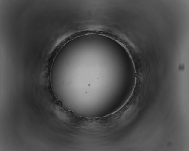 X0000102001256200807181156