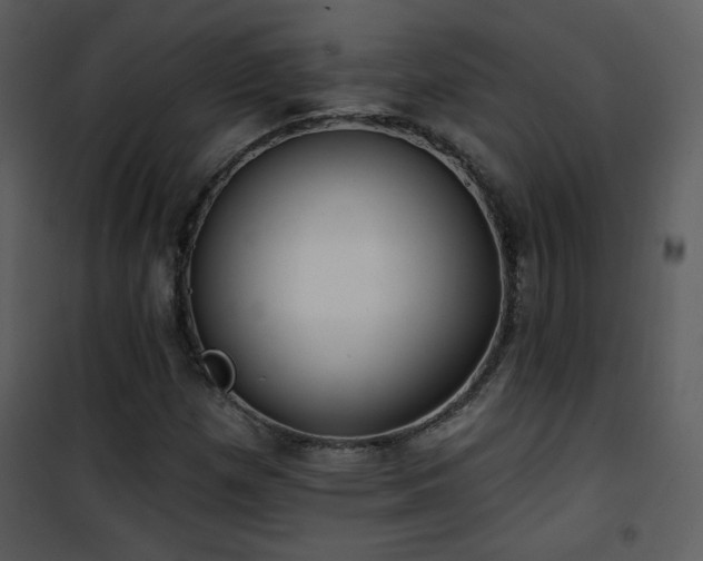 X0000102001257200807181156