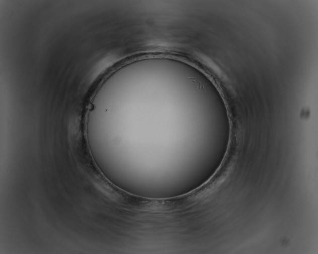 X0000102001259200807181156