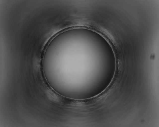 X0000102001260200807181156