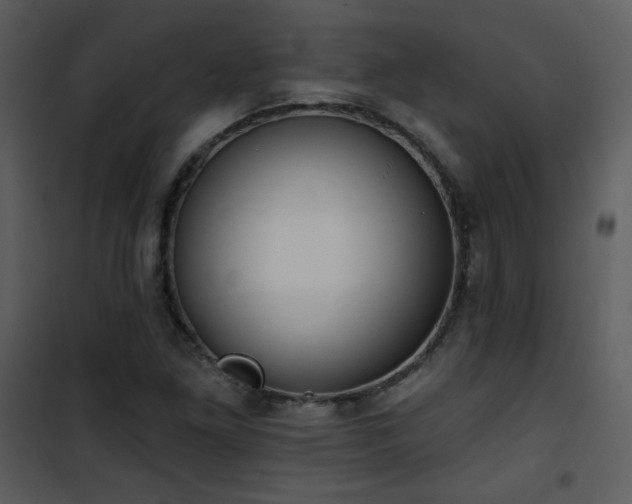 X0000102001261200807181156