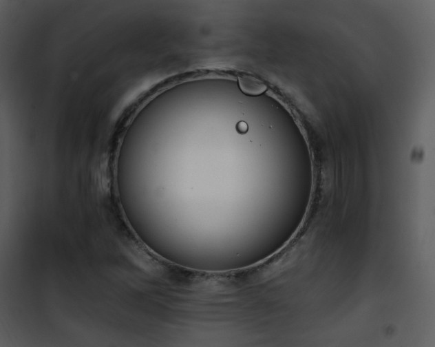 X0000102001262200807181156