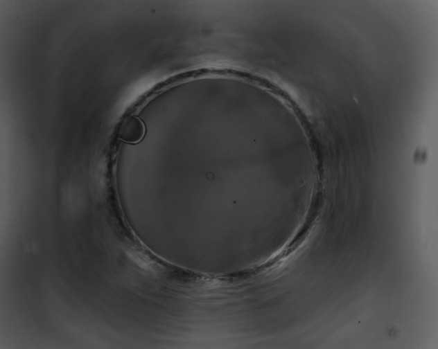 X0000102001263200807181156