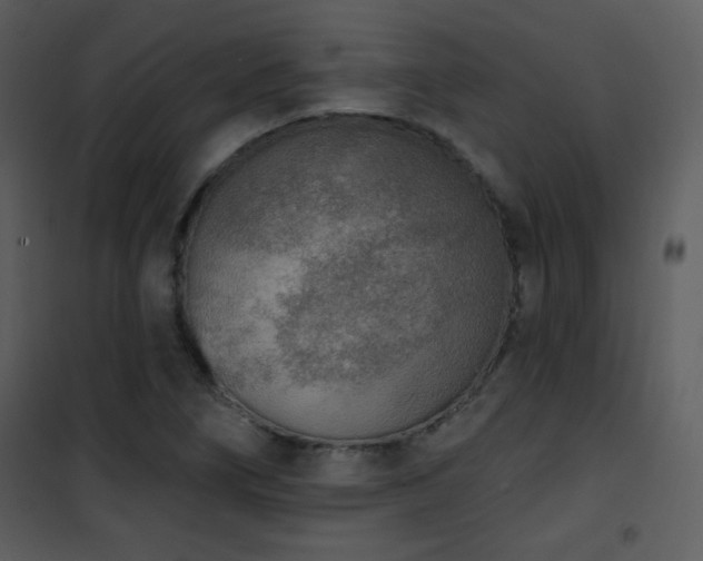 X0000102001266200807181156