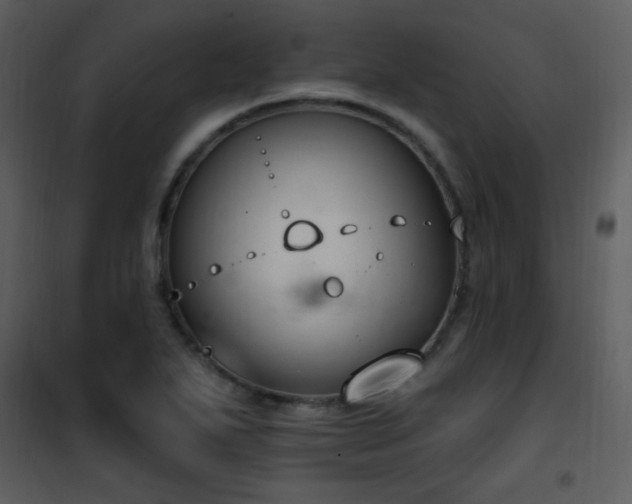 X0000102001271200807181156