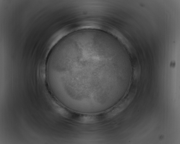 X0000102001274200807181156