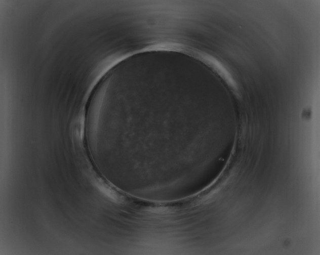 X0000102001276200807181156