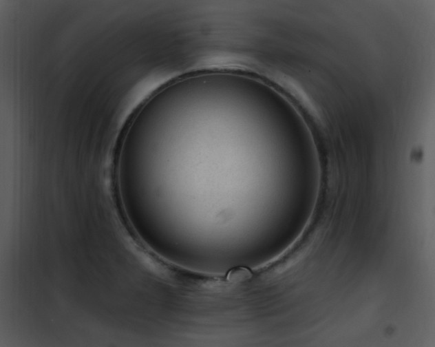 X0000102001277200807181156