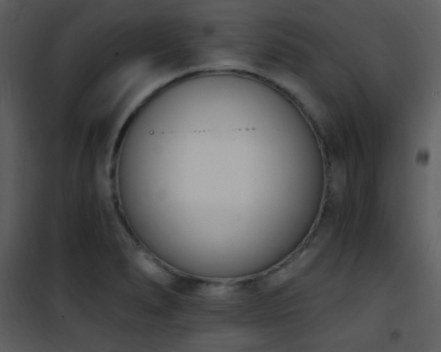 X0000102001278200807181156