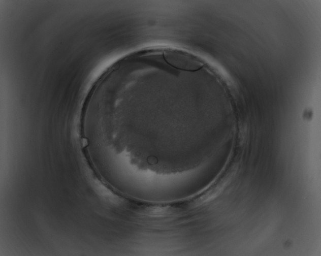 X0000102001279200807181156