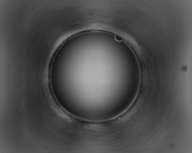 X0000102001280200807181156