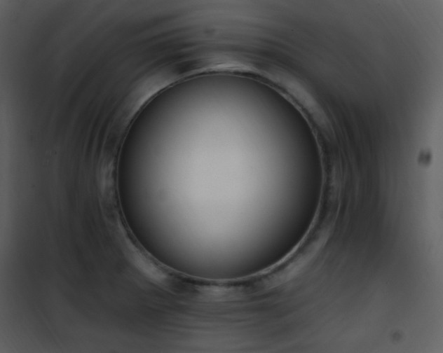 X0000102001281200807181156