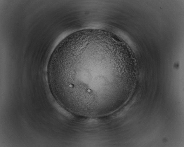 X0000102001283200807181156