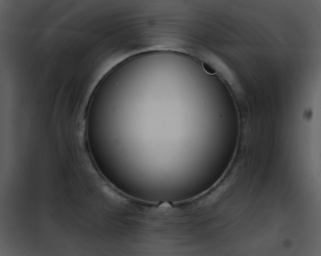 X0000102001284200807181156