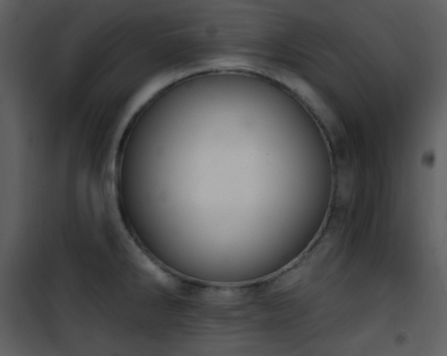 X0000102001286200807181156