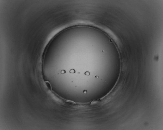 X0000102001287200807181156