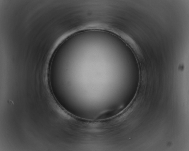 X0000102001288200807181156