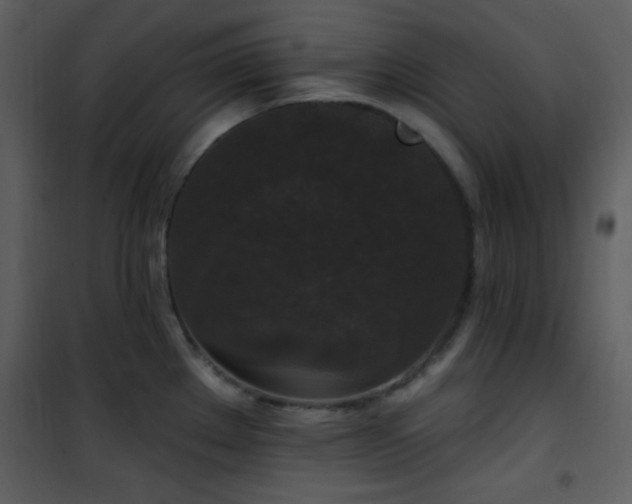 X0000102001289200807181156