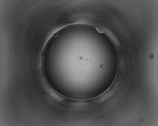 X0000102001292200807181156