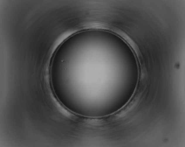 X0000102001293200807181156