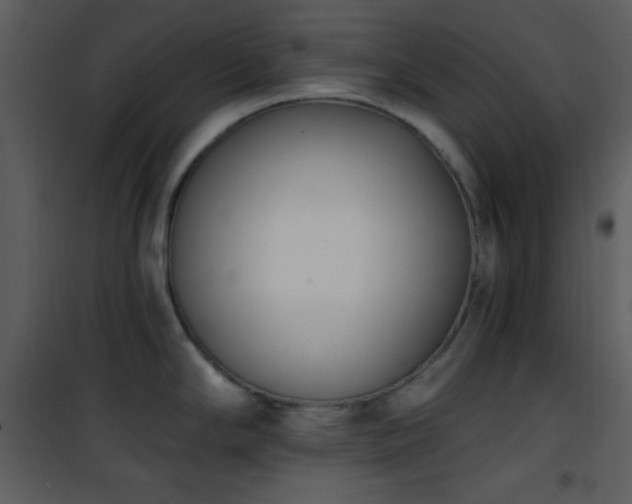 X0000102001294200807181156