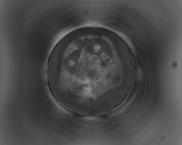 X0000102001295200807181156