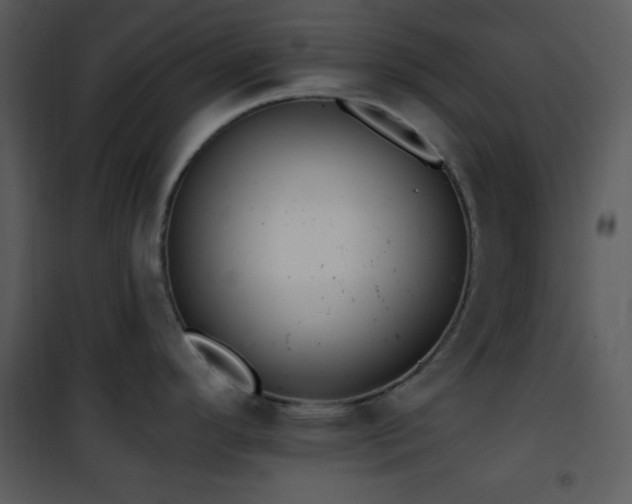 X0000102001296200807181156