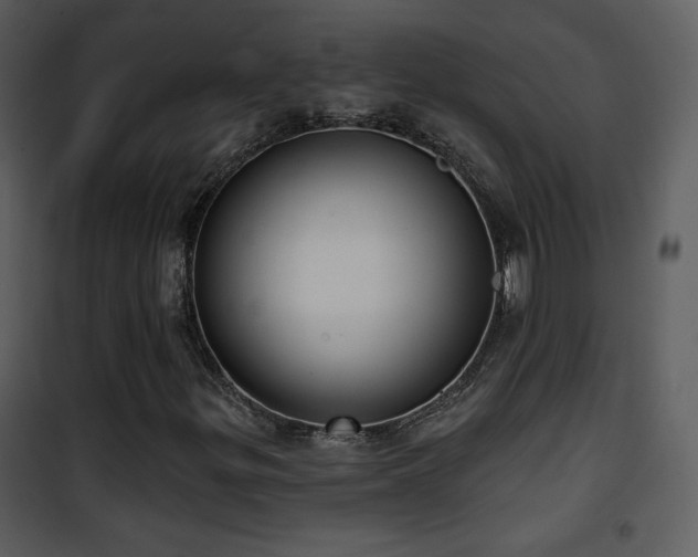 X0000102001299200807181155